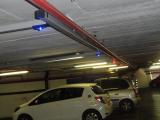 DSC00896 special.jpg